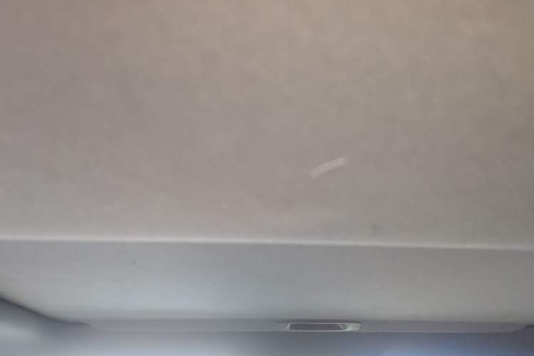 Used Lexus IS 2017 300 F SPORT Edition Headliner