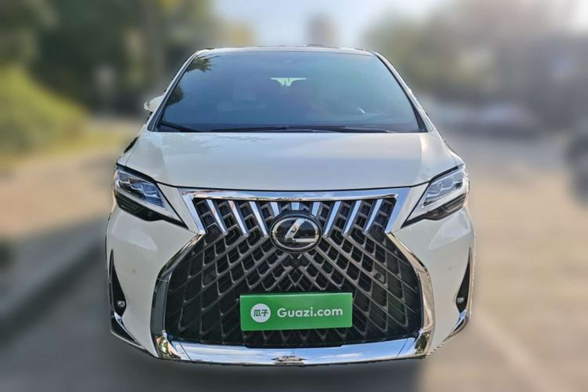 Used Lexus LM 2020 300h Four-Seat Grand Edition Front