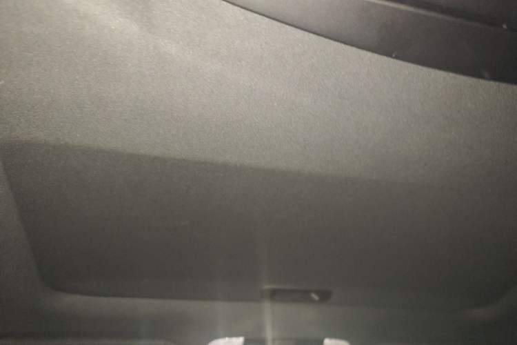 Used Lexus LM 2020 300h Seven-Seat Elegant Edition Headliner