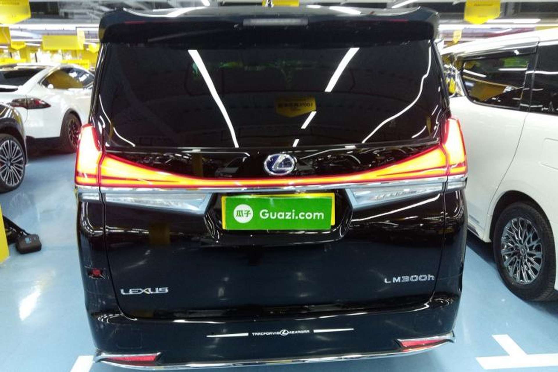 Used Lexus LM 2020 300h Seven-Seat Elegant Edition Rear