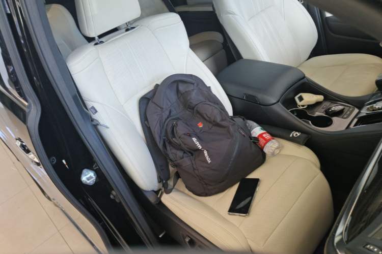 Used Lexus LM 2020 300h Seven-Seat Elegant Edition Right Front Seat