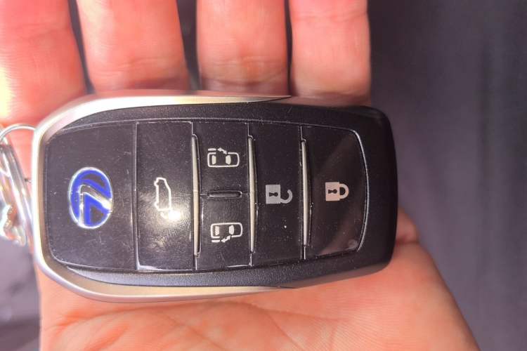 Used Lexus LM 2020 300h Seven-Seat Elegant Edition Vehicle Key