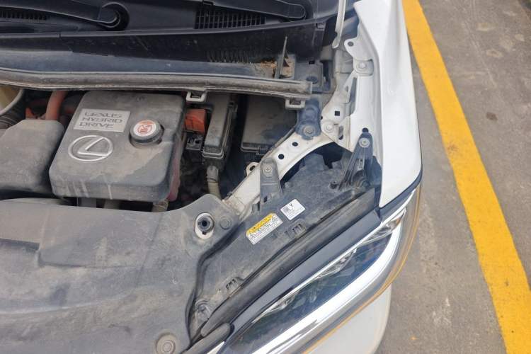Used Lexus LM 2020 300h Seven-Seat Elegant Edition Engine Bay Left