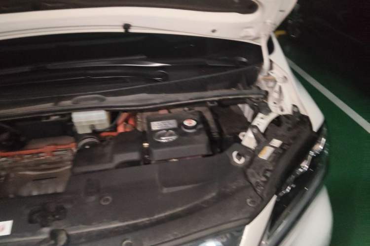 Used Lexus LM 2020 300h Four-Seat Grand Edition Engine Bay Left