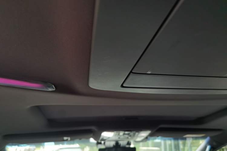 Used Lexus LM 2020 300h Seven-Seat Elegant Edition Headliner