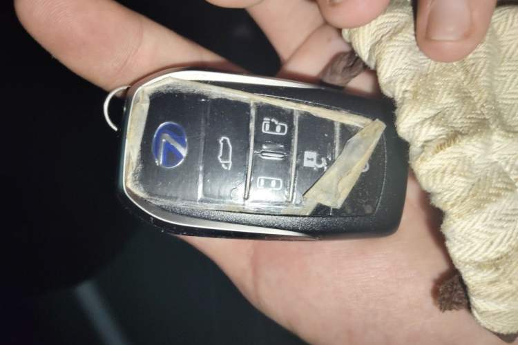 Used Lexus LM 2020 300h Four-Seat Grand Edition Vehicle Key