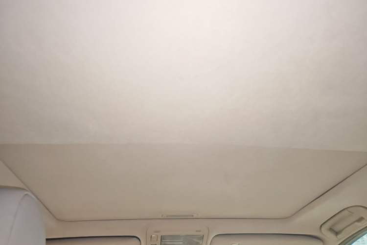 Used Lexus LS 2004 430 Headliner