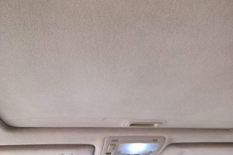 Used Lexus LS 2004 430 Headliner
