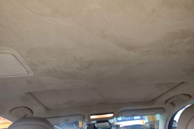 Used Lexus LS 2006 460L Headliner