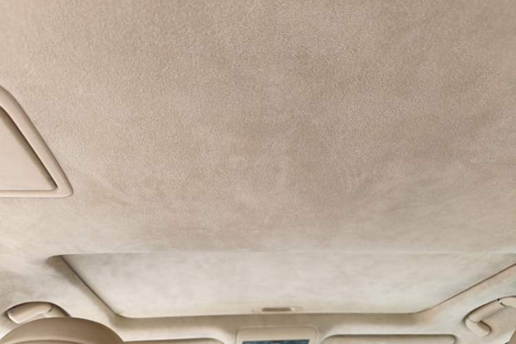Used Lexus LS 2010 460L Headliner