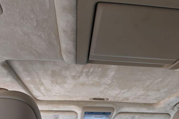 Used Lexus LS 2010 460L Luxury Edition Headliner