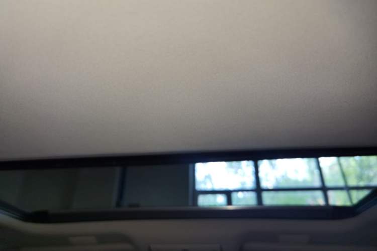 Used Lexus LS 2018 500h Excellence Edition China VI standard Headliner