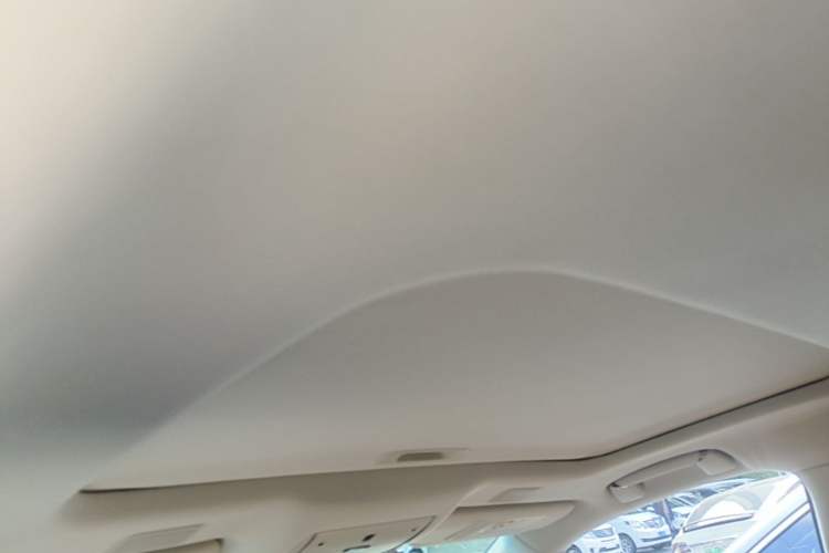 Used Lexus LS 2020 500h Excellence Edition China VI standard Headliner