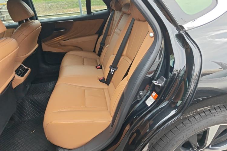 Used Lexus LS 2020 500h Excellence Edition China VI standard Left Rear Seat