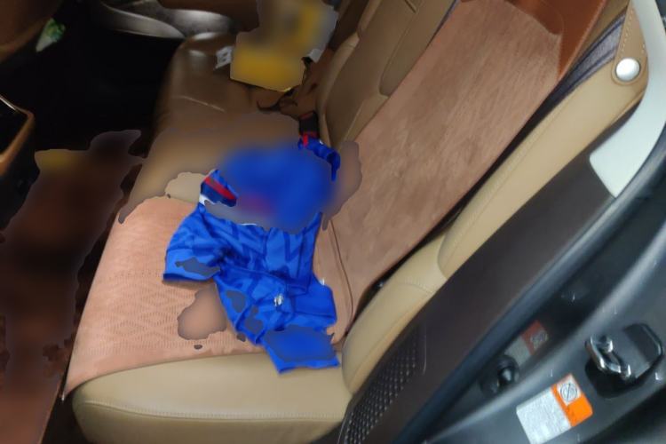 Used Lexus LS 2020 500h Excellence Edition China VI standard Left Rear Seat