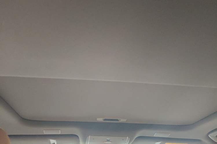 Used Lexus LS 2021 500h Excellence Edition Headliner