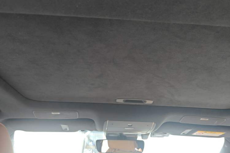 Used Lexus LS 2021 500h Luxury Edition Headliner