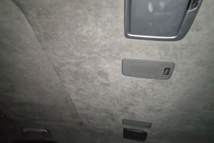 Used Lexus LS 2021 500h Executive Edition Headliner