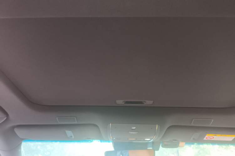 Used Lexus LS 2021 500h Excellence Edition Headliner