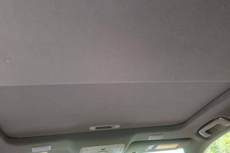Used Lexus LS 2021 500h Excellence Edition Headliner