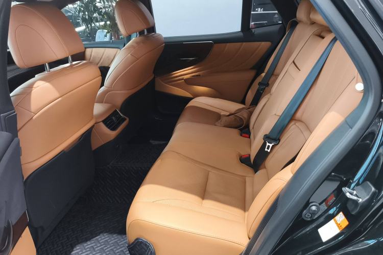 Used Lexus LS 2021 500h Excellence Edition Left Rear Seat