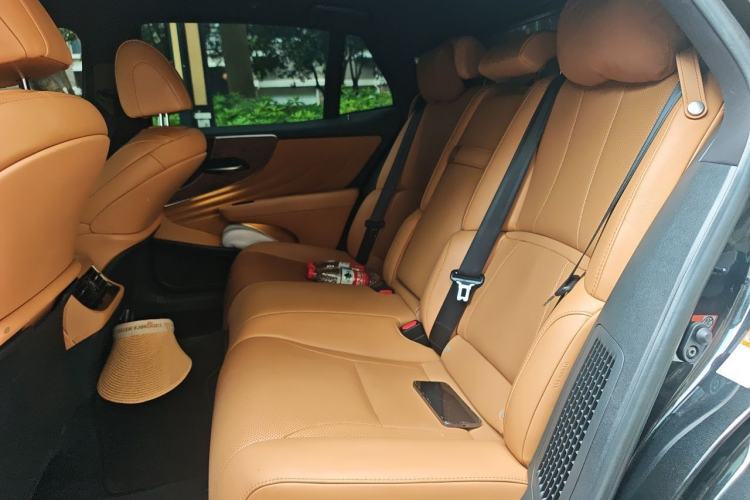 Used Lexus LS 2021 500h Excellence Edition Left Rear Seat