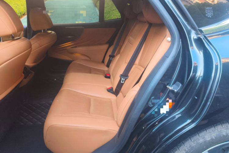 Used Lexus LS 2021 500h Excellence Edition Left Rear Seat