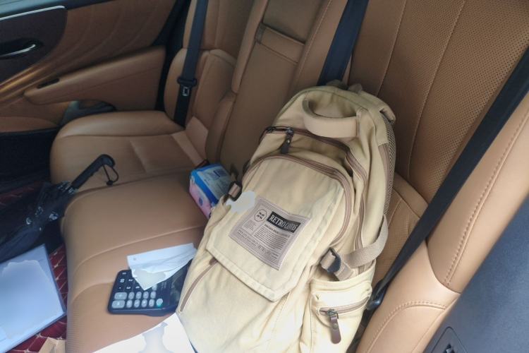 Used Lexus LS 2021 500h Excellence Edition Left Rear Seat