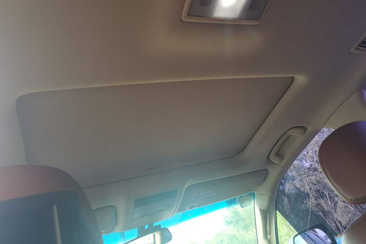 Used Lexus LX  Headliner