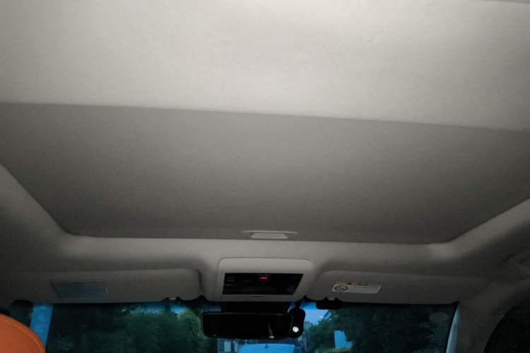 Used Lexus LX 2019 570 Prestige Luxury Edition Headliner