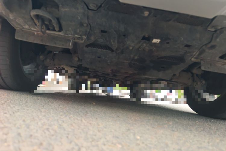 Used Lexus LX  Chassis Front