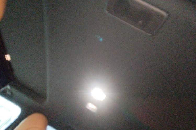 Used Lexus LX  Headliner