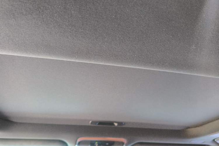 Used Lexus LX  Headliner