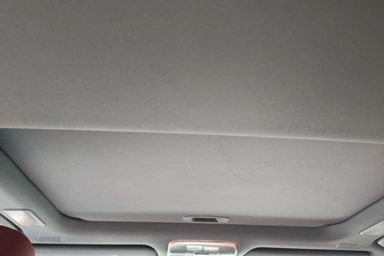 Used Lexus LX  Headliner
