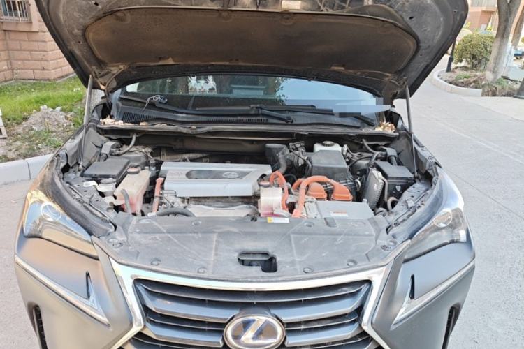 Used Lexus NX 2015 300h Front-Drive Fēngshàng Edition Exterior 4