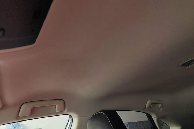 Used Lexus NX 2015 200 Front-Wheel Drive X-Trail SE Edition Headliner