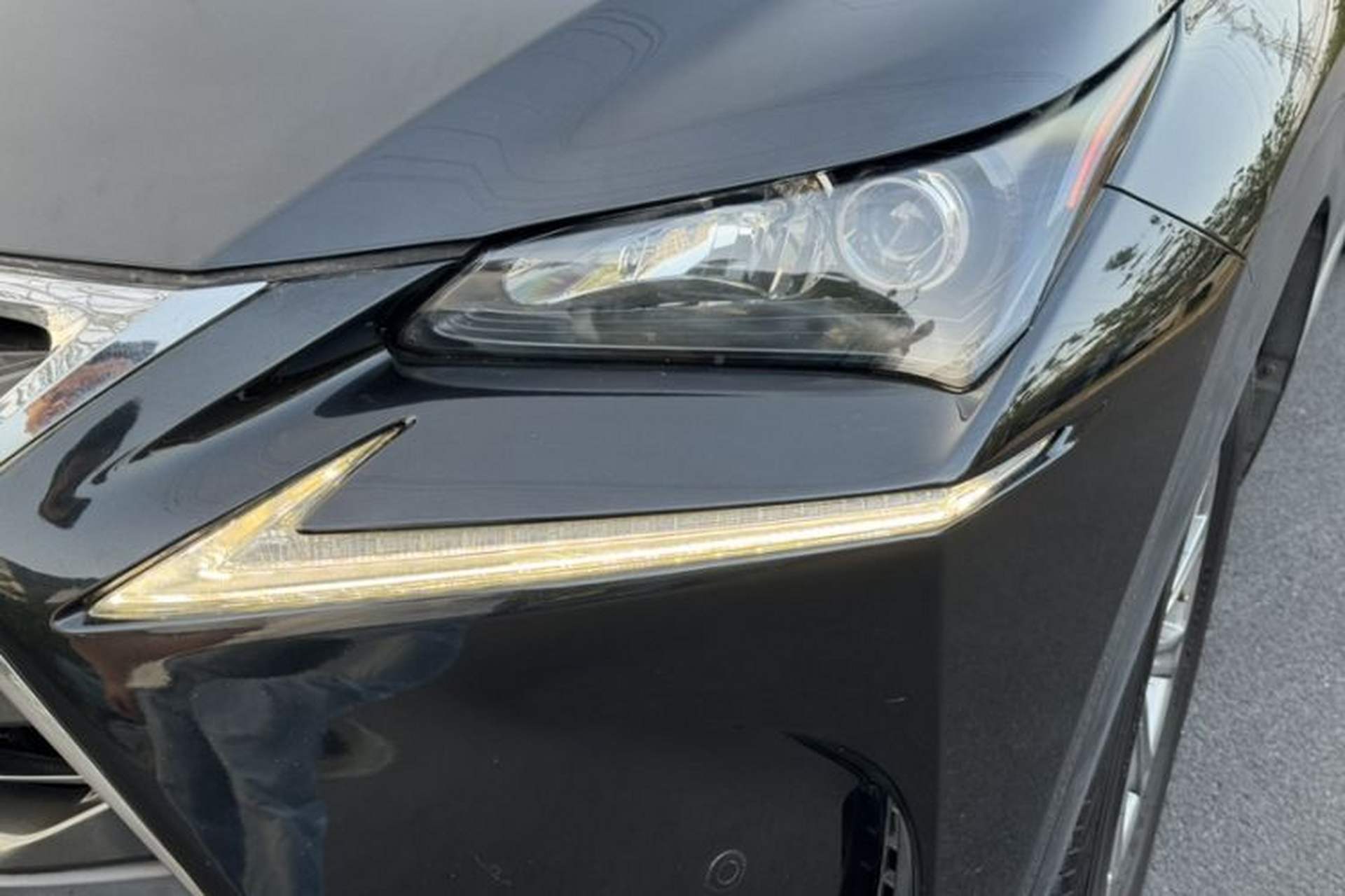 Used Lexus NX 2015 200 Front-Wheel Drive X-Trail SE Edition Left Front Headlight