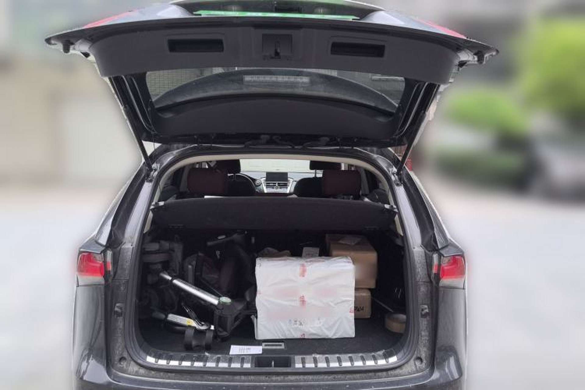 Used Lexus NX 2015 200 Front-Wheel Drive X-Trail SE Edition Trunk