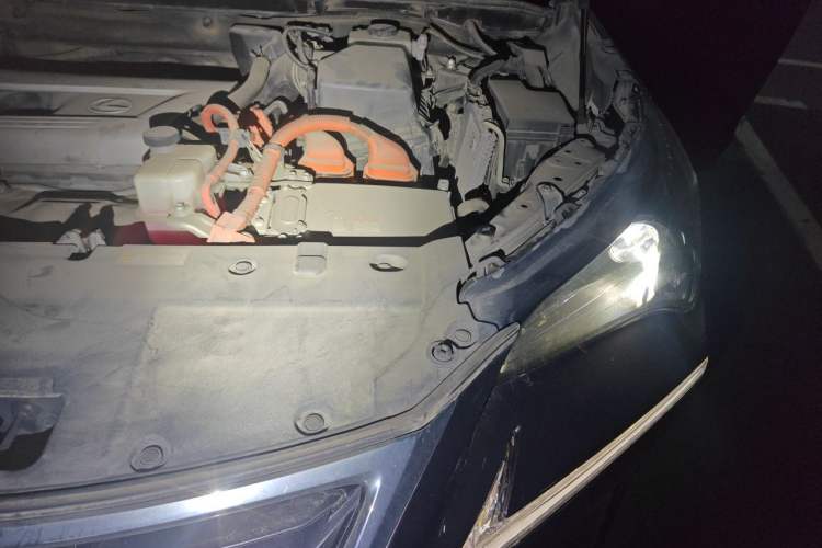 Used Lexus NX 2015 300h Front-Drive Fēngshàng Edition Engine Bay Left