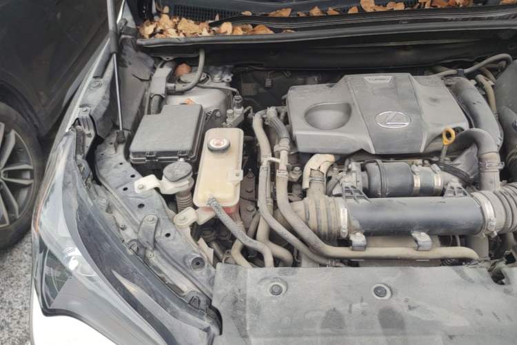 Used Lexus NX 2015 200T All-Wheel-Drive Fēngshàng Edition Engine Bay Right