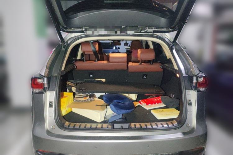 Used Lexus NX 2015 300h All-Wheel-Drive Fēngzhì Edition Trunk