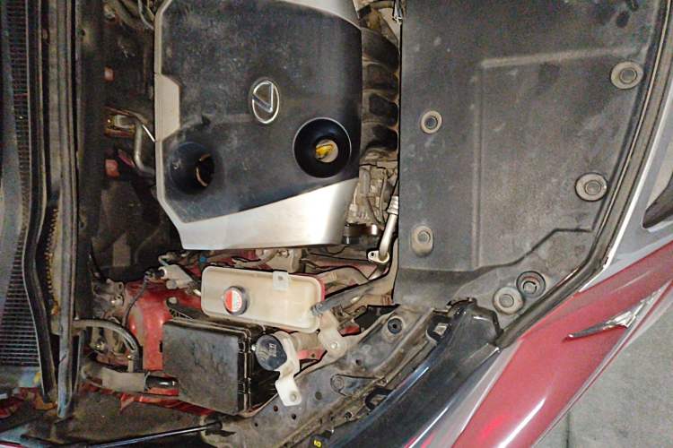 Used Lexus NX 2015 200 All-Wheel Drive Fēngshàng Edition Engine Bay Right