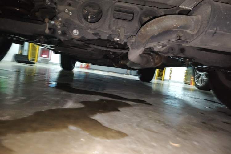 Used Lexus NX 2015 200 Front-Wheel Drive X-Trail SE Edition Chassis Rear