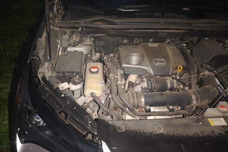 Used Lexus NX 2015 200T All-Wheel-Drive Fēngshàng Edition Engine Bay Right