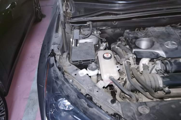 Used Lexus NX 2015 200T All-Wheel-Drive Fēngshàng Edition Engine Bay Right