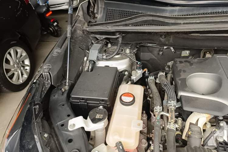 Used Lexus NX 2015 200T All-Wheel-Drive Fēngshàng Edition Engine Bay Right