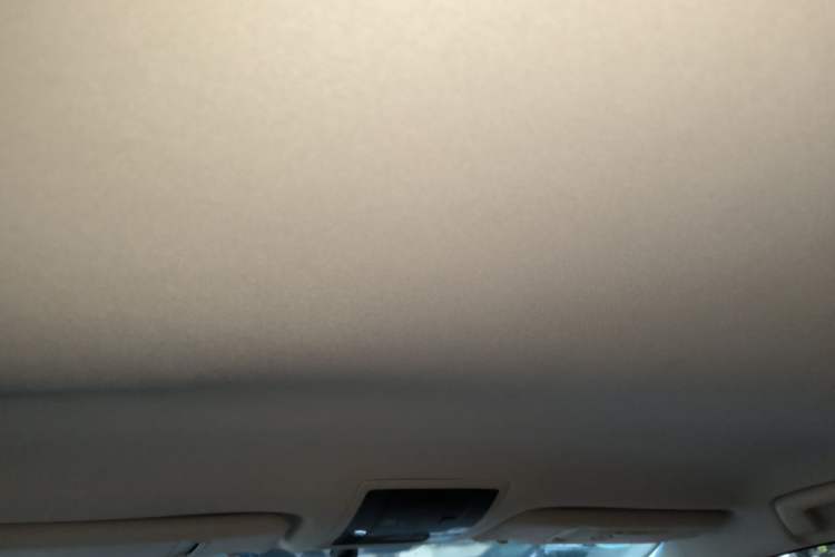 Used Lexus NX 2015 200 Front-Wheel Drive X-Trail SE Edition Headliner