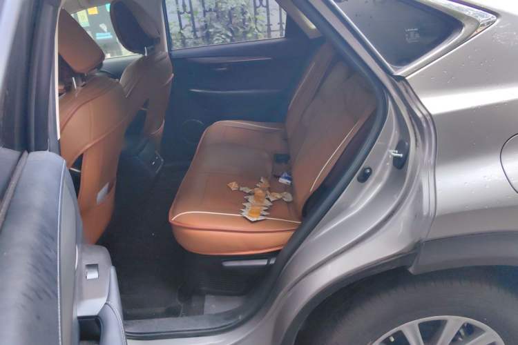 Used Lexus NX 2015 200 Front-Wheel Drive X-Trail SE Edition Left Rear Seat