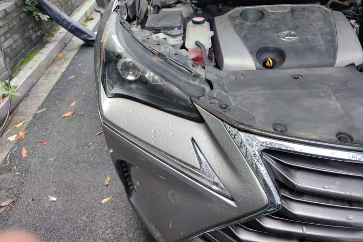 Used Lexus NX 2015 200 Front-Wheel Drive X-Trail SE Edition Right Front Headlight