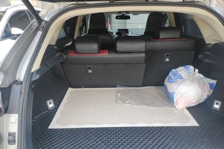 Used Lexus NX 2015 200 Front-Wheel Drive X-Trail SE Edition Trunk